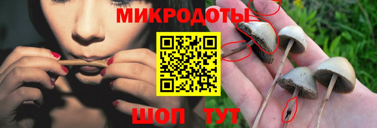 Славянск-на-Кубани  Галлюциногенные грибы Psilocybine cubensis  Вход с VPN 